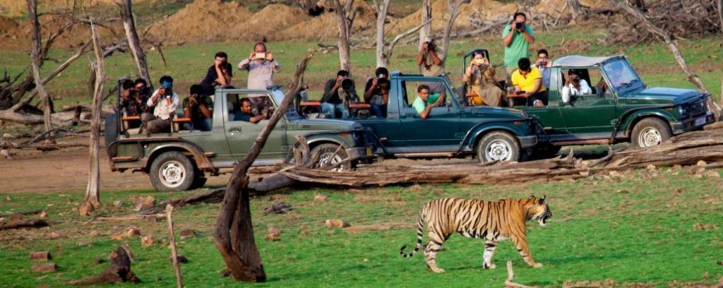 Know Safari Zones In Ranthambore National Park - Ranthambore National ...