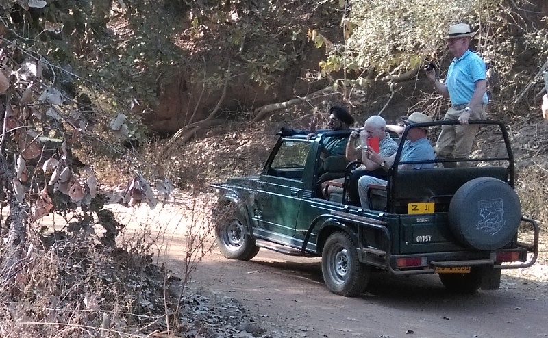 ranthambore news