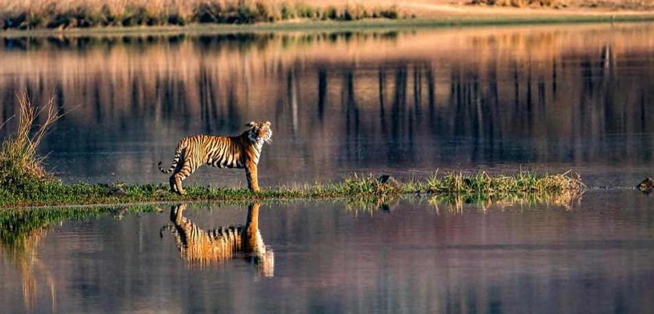 ranthambore places