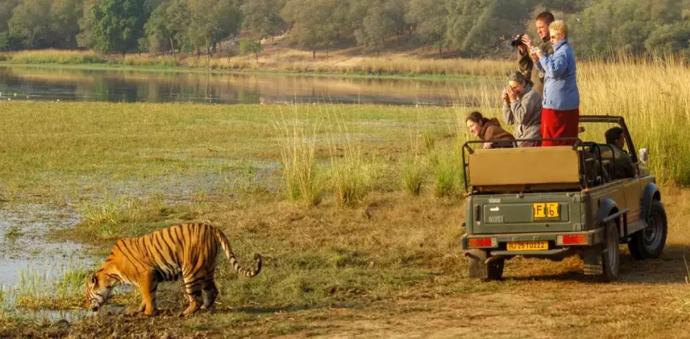 ranthambore park