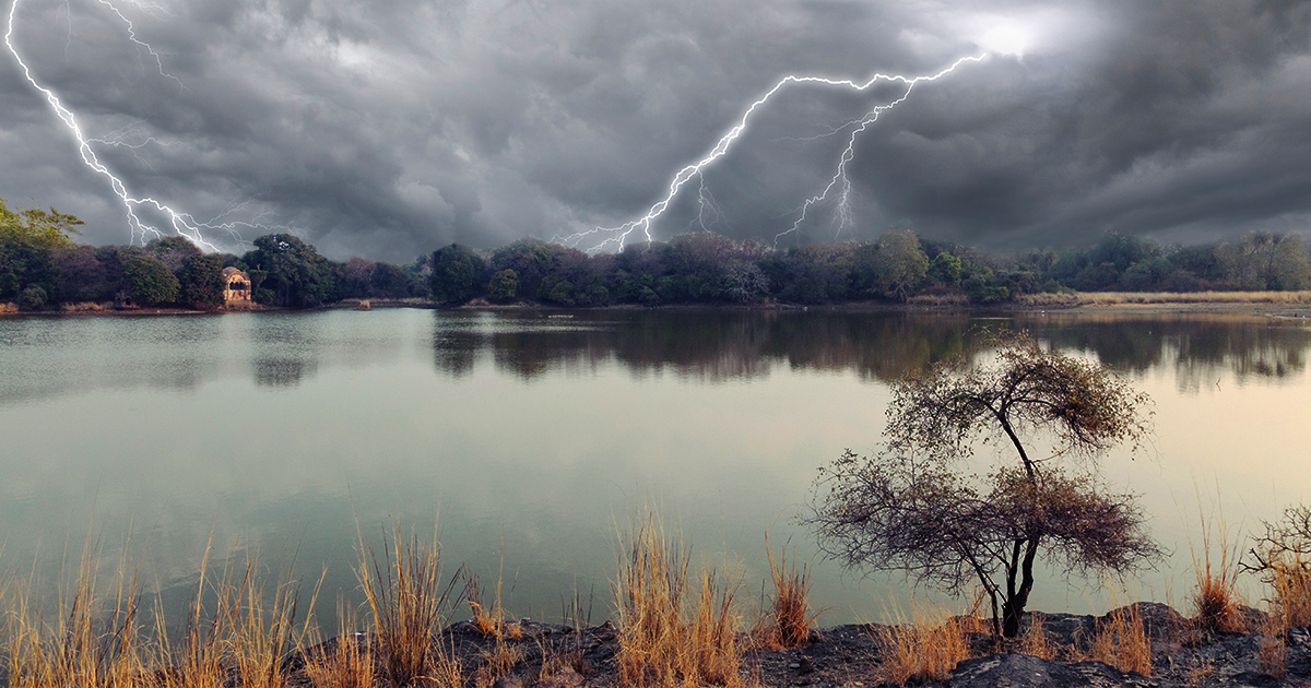 ranthambore safari