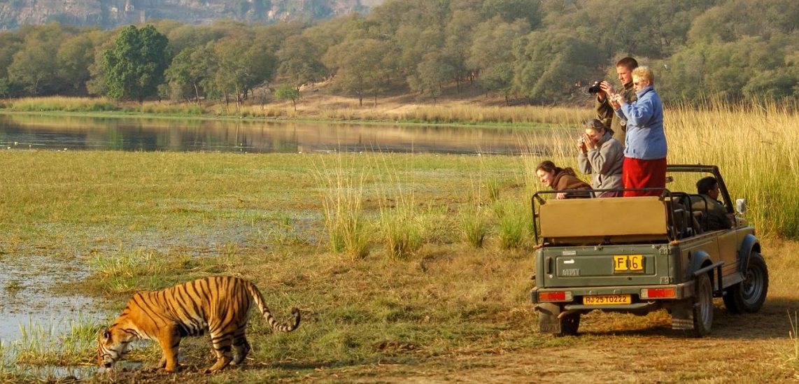 rathambore tour from delhi