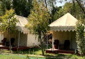Jungle View Resort Ranthambore