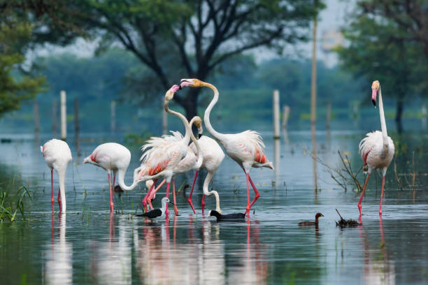 Ranthambore Weekend Tour