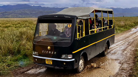 Ranthambore Holiday Tour with 1 Canter Safari