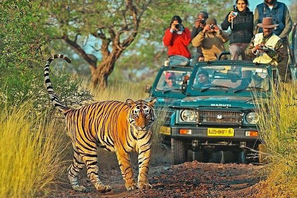 Day 05: Drive To Ranthambore National Park